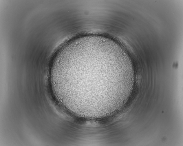 X0000089900591200707262252