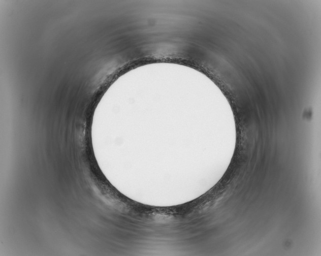 X0000089900592200707262252