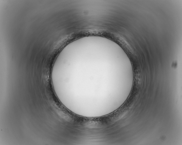 X0000089900593200707262252