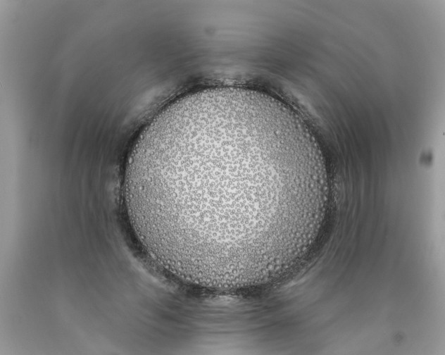 X0000089900594200707262252