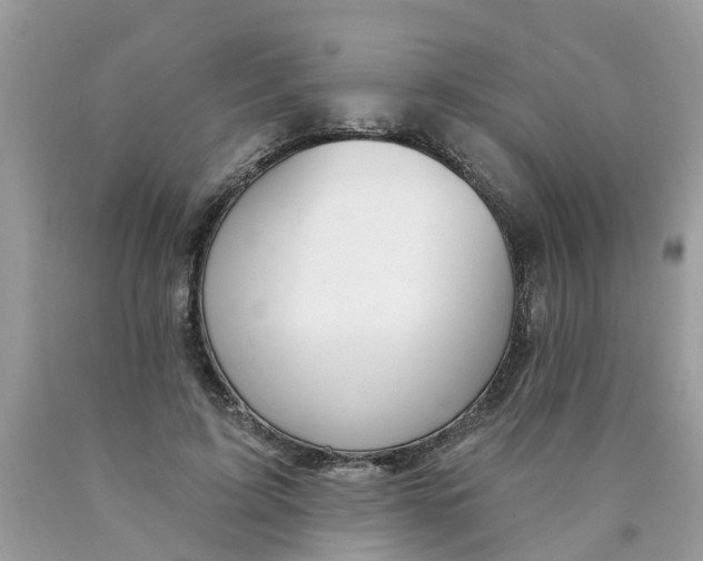 X0000089900595200707262252