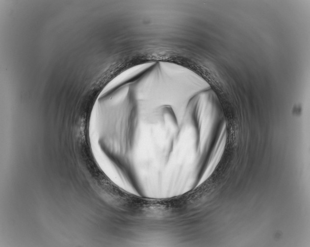 X0000089900598200707262252