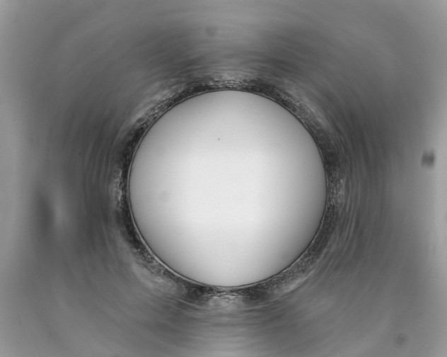 X0000089900599200707262252