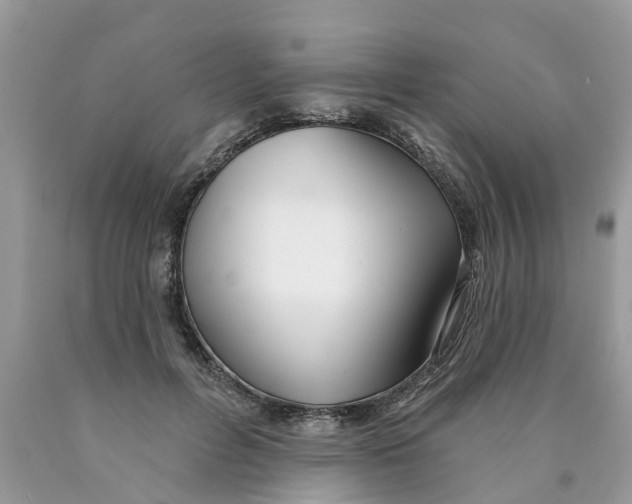 X0000089900600200707262252