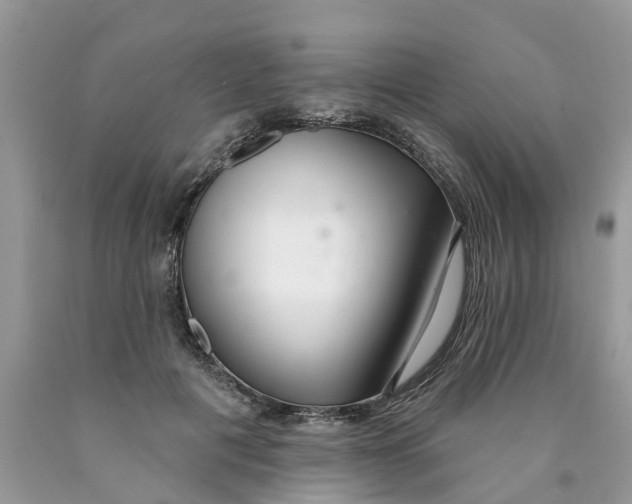 X0000089900601200707262252