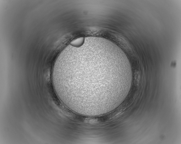 X0000089900602200707262252