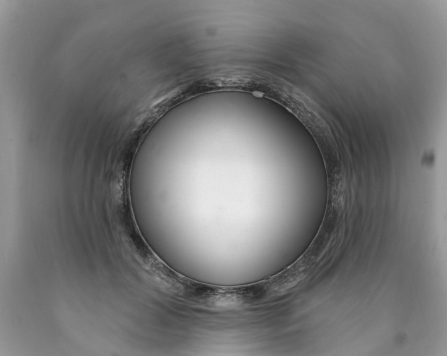 X0000089900604200707262252