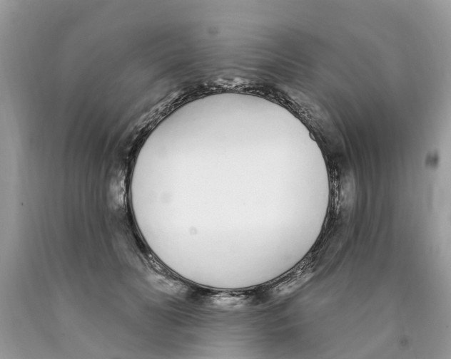 X0000089900606200707262252