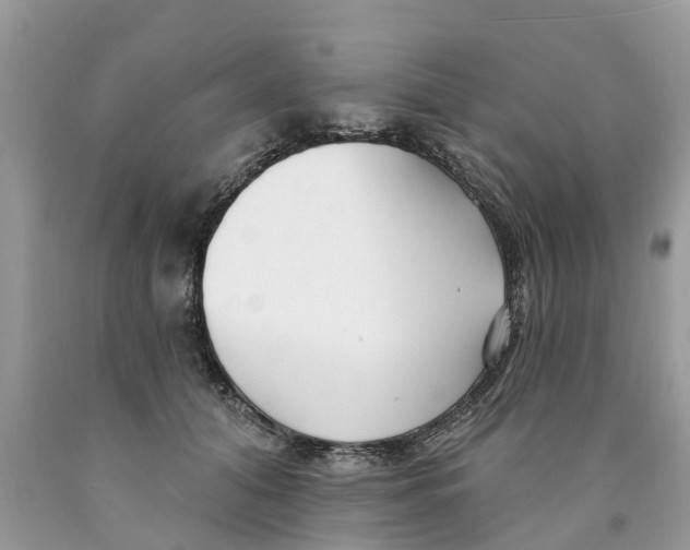 X0000089900608200707262252
