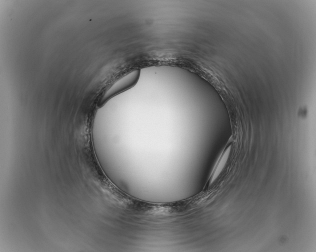 X0000089900609200707262252