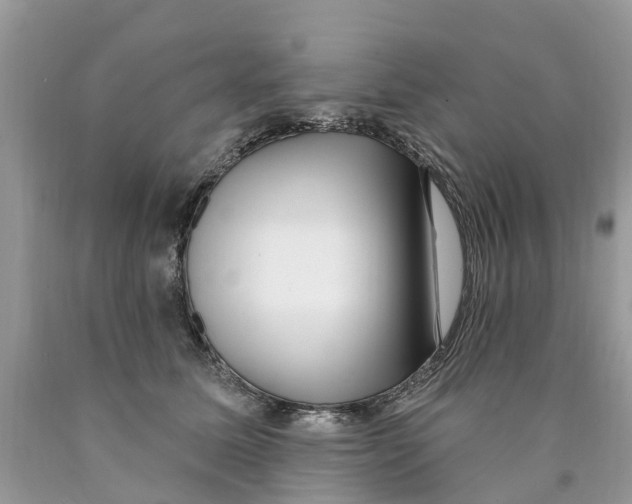 X0000089900611200707262252