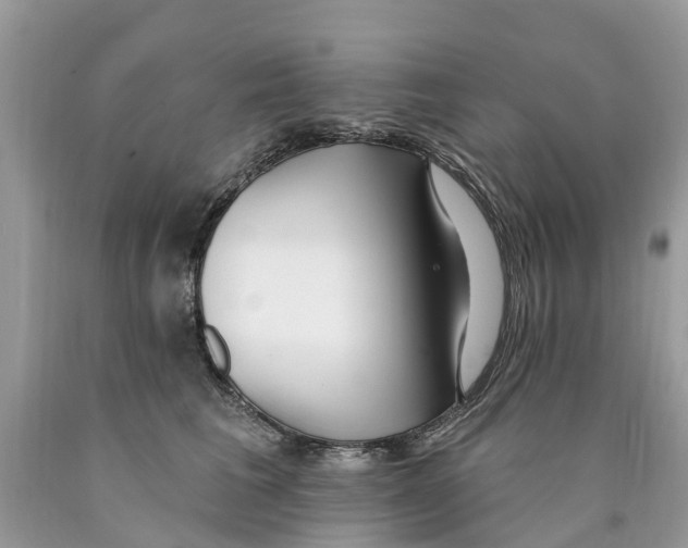 X0000089900613200707262252