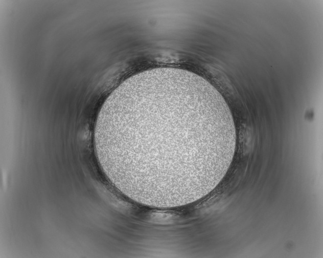 X0000089900614200707262252