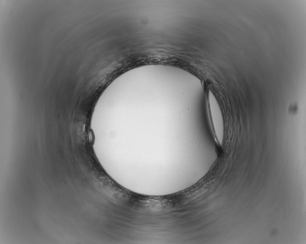 X0000089900615200707262252