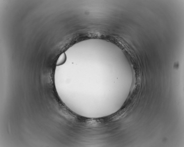 X0000089900616200707262252