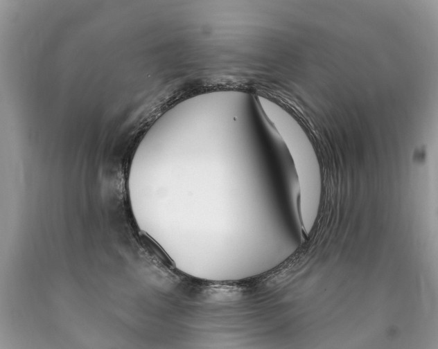 X0000089900617200707262252