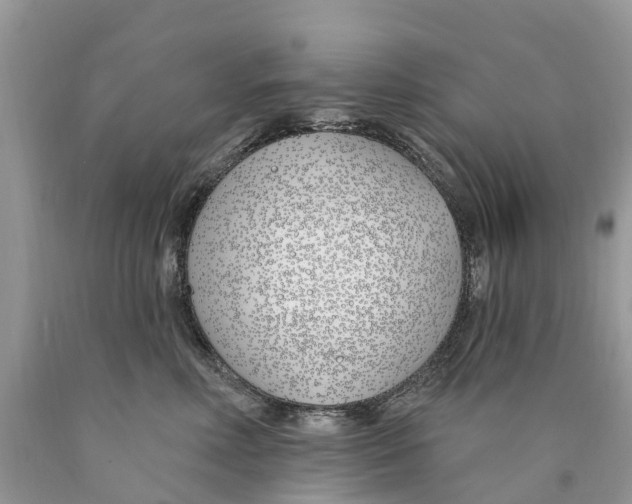 X0000089900618200707262252