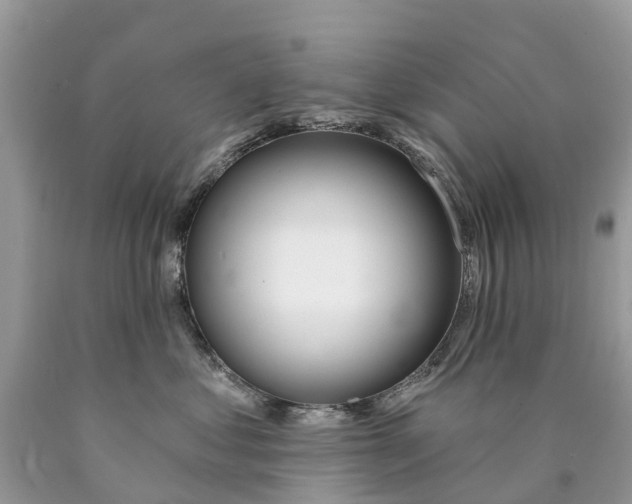 X0000089900621200707262252