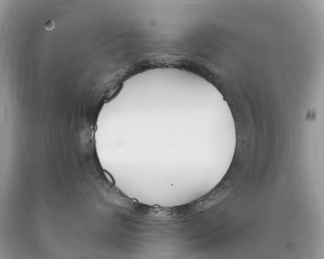 X0000089900624200707262252