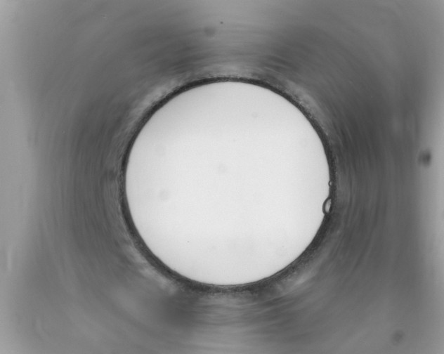 X0000089900625200707262251