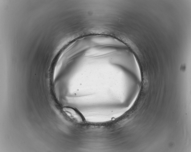 X0000089900626200707262251