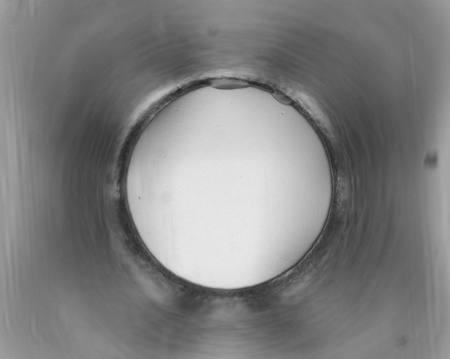 X0000089900628200707262251
