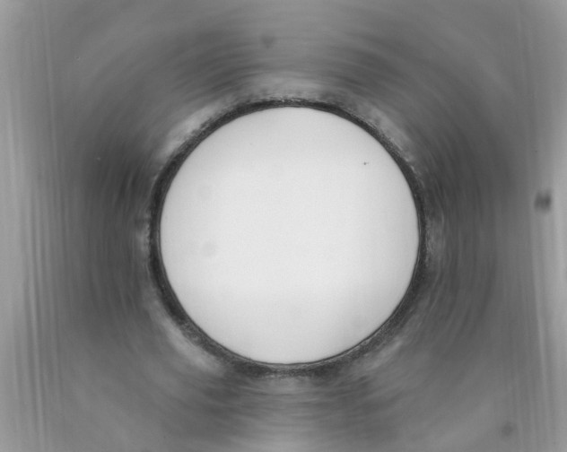 X0000089900629200707262251