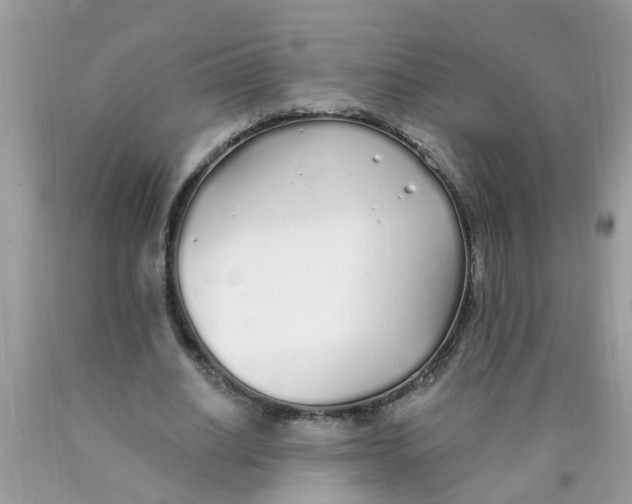 X0000089900630200707262251