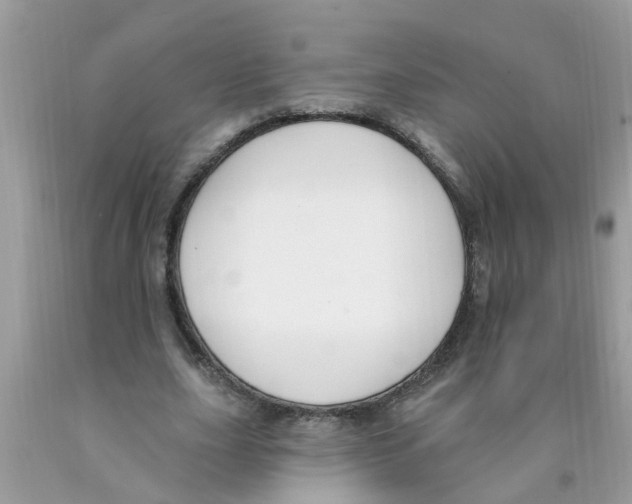 X0000089900631200707262251