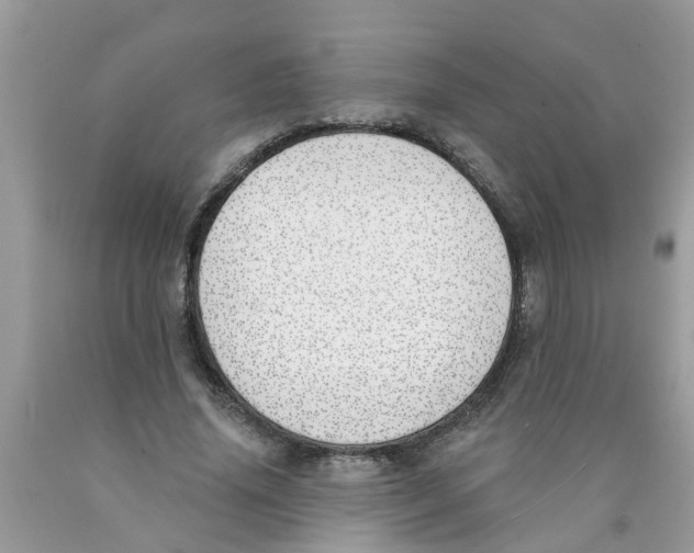 X0000089900636200707262251