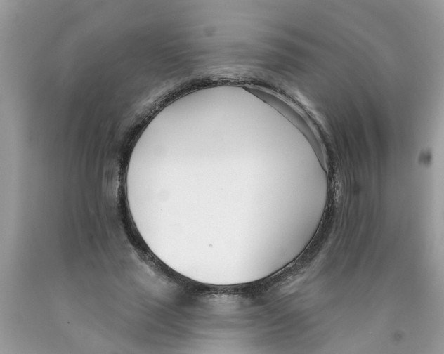 X0000089900637200707262251