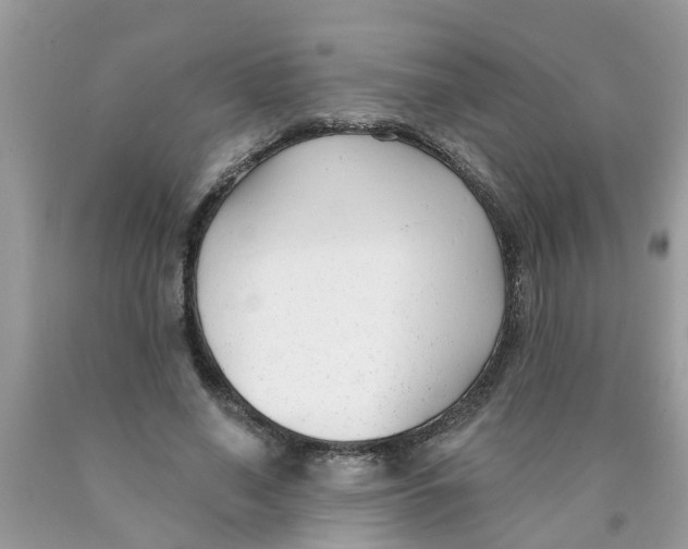 X0000089900638200707262251