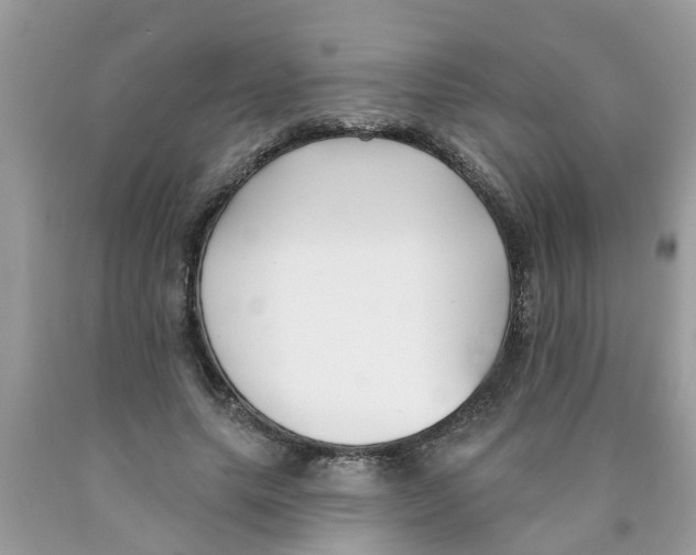 X0000089900639200707262251