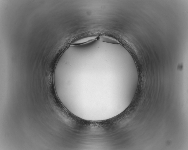 X0000089900641200707262251