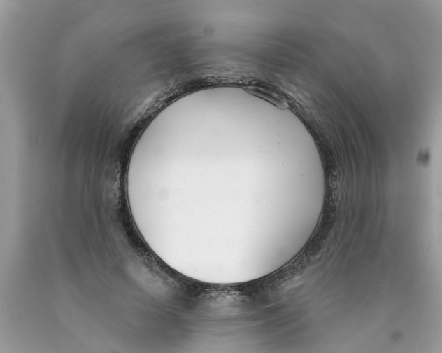 X0000089900642200707262251
