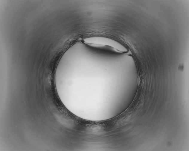 X0000089900643200707262251