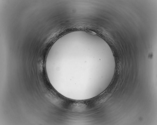X0000089900644200707262251
