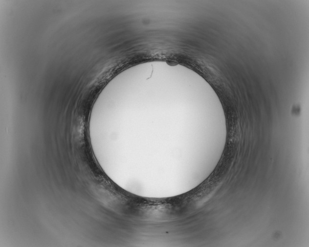 X0000089900646200707262251