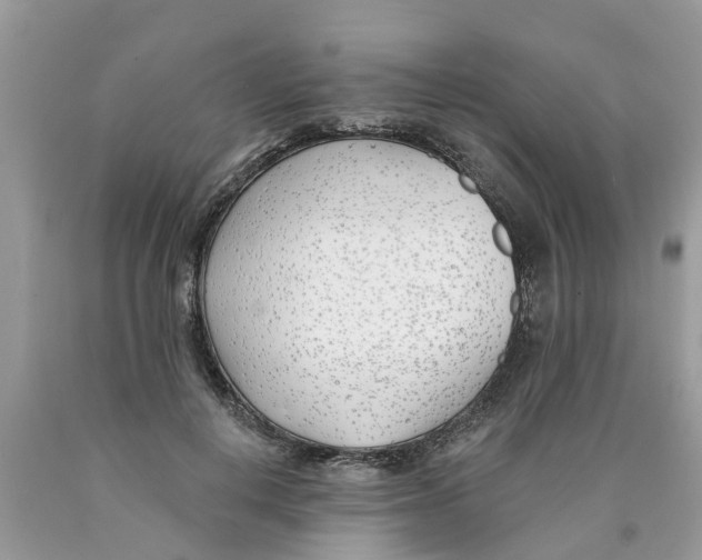 X0000089900648200707262251