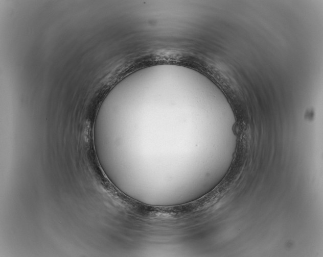 X0000089900649200707262251