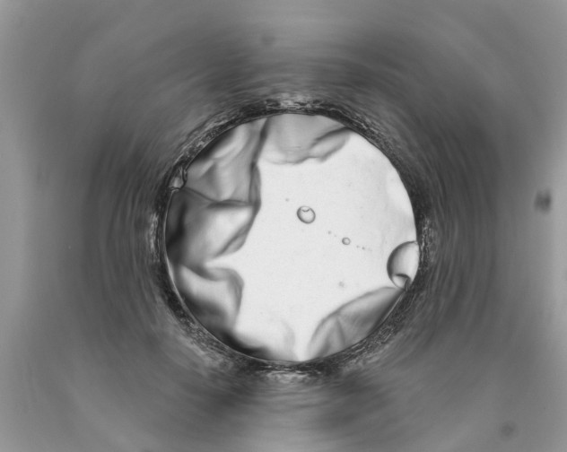 X0000089900650200707262251