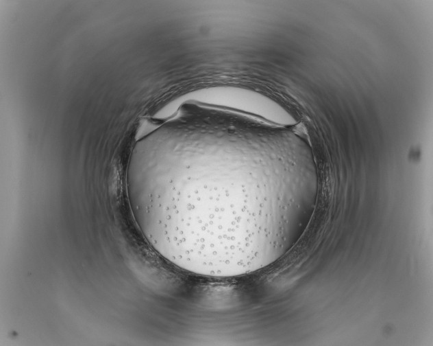 X0000089900651200707262251