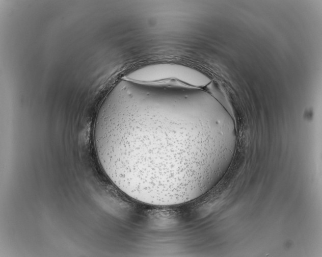 X0000089900652200707262251