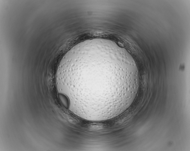 X0000089900653200707262251