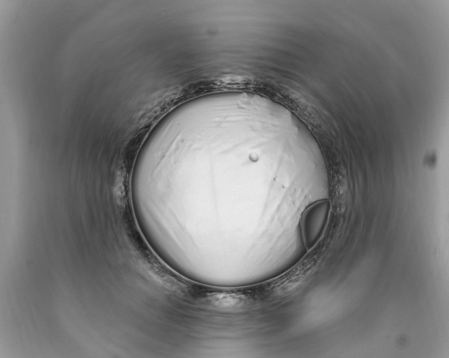 X0000089900654200707262251
