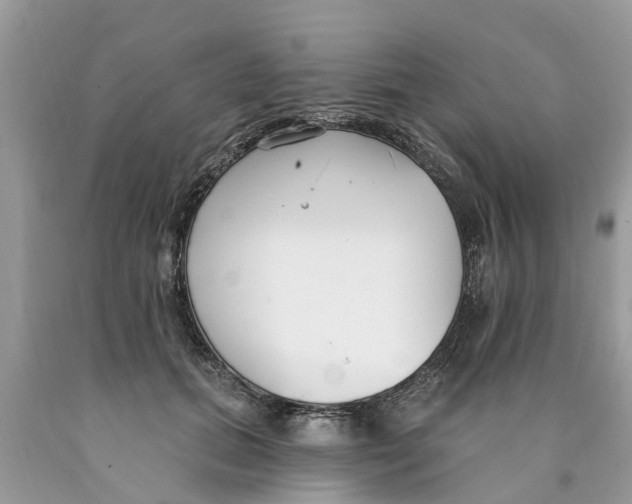 X0000089900655200707262251