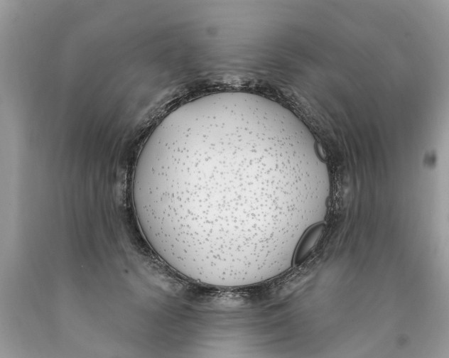X0000089900656200707262252