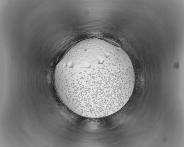 X0000089900658200707262252