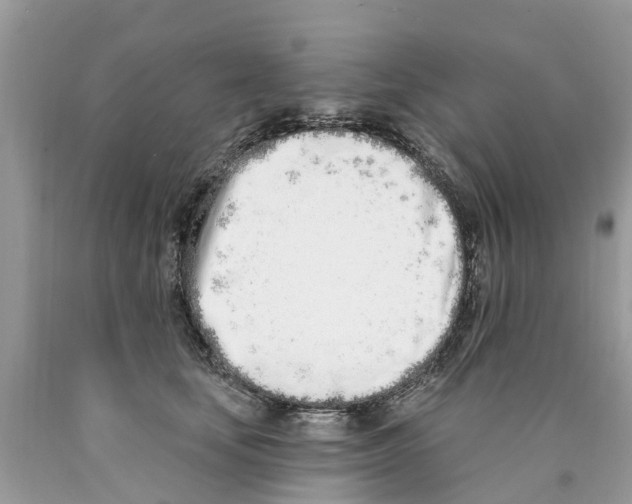 X0000089900659200707262252