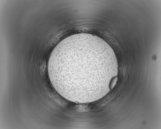 X0000089900660200707262252